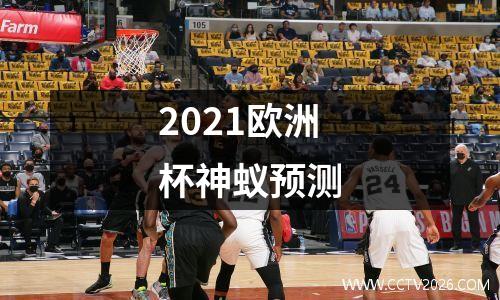 2021欧洲杯神蚁预测