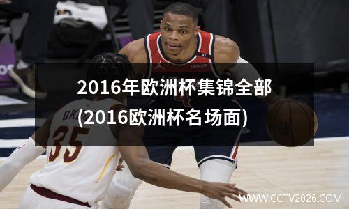2016年欧洲杯集锦全部(2016欧洲杯名场面)