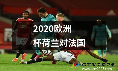2020欧洲杯荷兰对法国