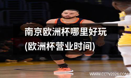 南京欧洲杯哪里好玩(欧洲杯营业时间)