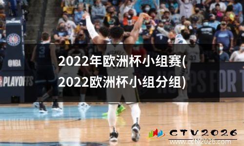 2022年欧洲杯小组赛(2022欧洲杯小组分组)