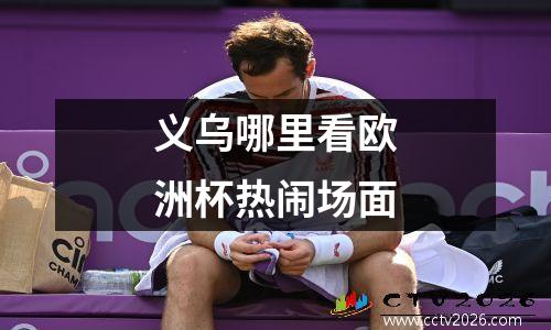 义乌哪里看欧洲杯热闹场面