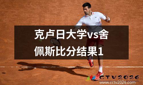 克卢日大学vs舍佩斯比分结果1