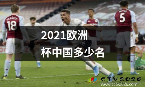 2021欧洲杯中国多少名