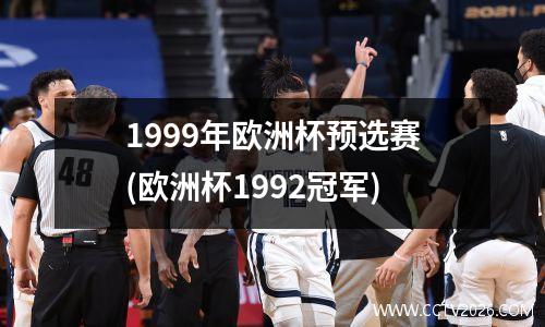 1999年欧洲杯预选赛(欧洲杯1992冠军)