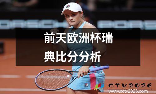 前天欧洲杯瑞典比分分析