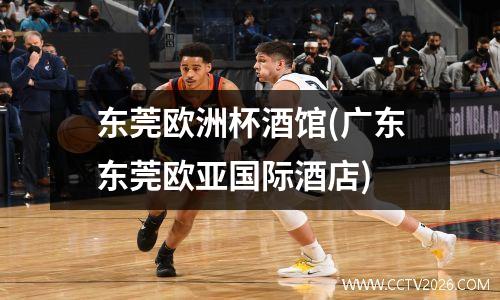 东莞欧洲杯酒馆(广东东莞欧亚国际酒店)
