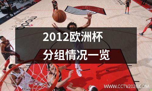 2012欧洲杯分组情况一览