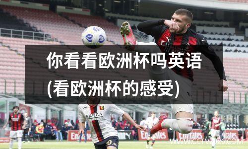 你看看欧洲杯吗英语(看欧洲杯的感受)