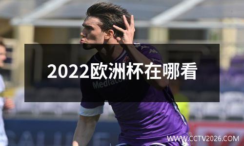 2022欧洲杯在哪看