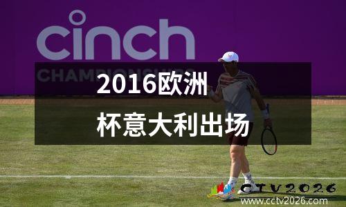 2016欧洲杯意大利出场