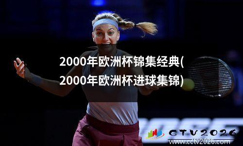 2000年欧洲杯锦集经典(2000年欧洲杯进球集锦)