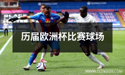 历届欧洲杯比赛球场