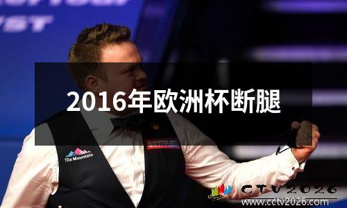 2016年欧洲杯断腿
