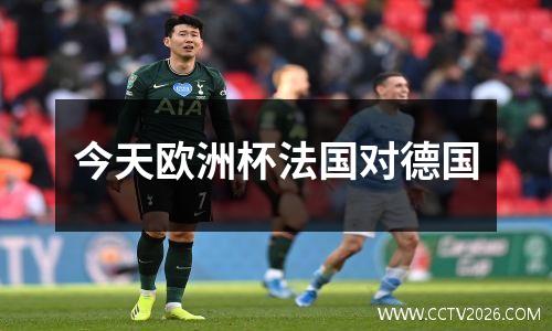 今天欧洲杯法国对德国