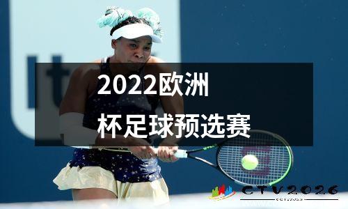 2022欧洲杯足球预选赛