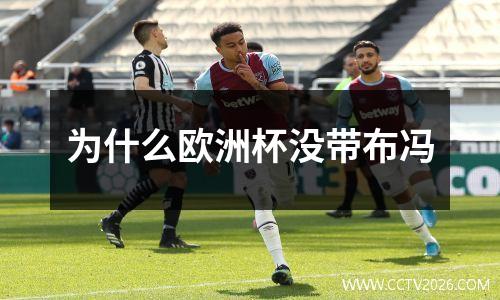 为什么欧洲杯没带布冯