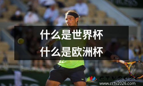 什么是世界杯什么是欧洲杯