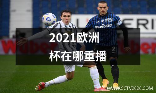 2021欧洲杯在哪重播