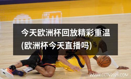 今天欧洲杯回放精彩重温(欧洲杯今天直播吗)