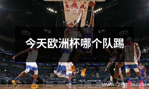 今天欧洲杯哪个队踢