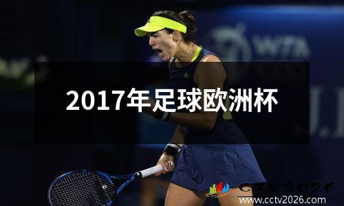 2017年足球欧洲杯