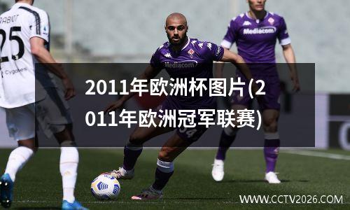 2011年欧洲杯图片(2011年欧洲冠军联赛)