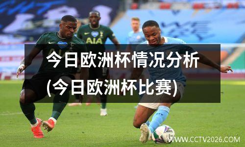 今日欧洲杯情况分析(今日欧洲杯比赛)