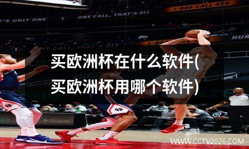 买欧洲杯在什么软件(买欧洲杯用哪个软件)