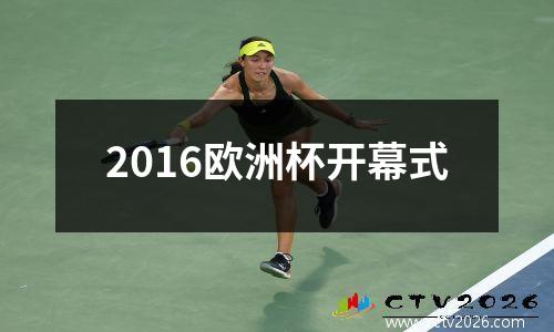 2016欧洲杯开幕式