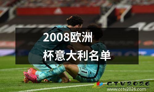2008欧洲杯意大利名单