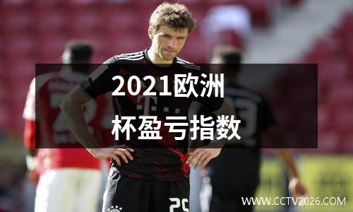 2021欧洲杯盈亏指数