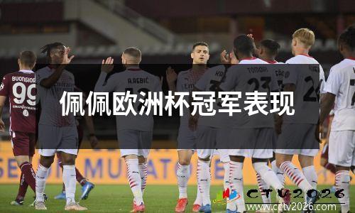 佩佩欧洲杯冠军表现