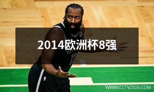 2014欧洲杯8强