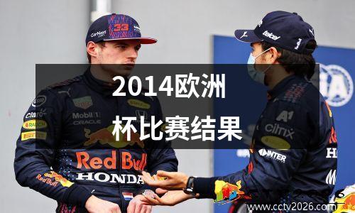 2014欧洲杯比赛结果