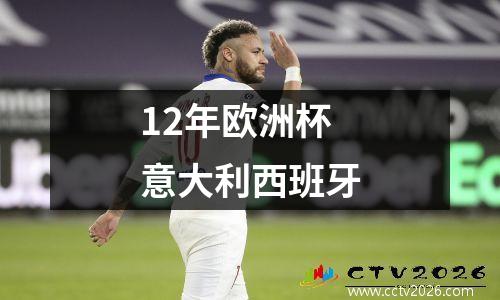 12年欧洲杯意大利西班牙