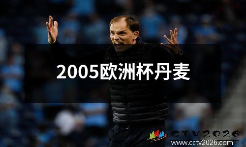 2005欧洲杯丹麦