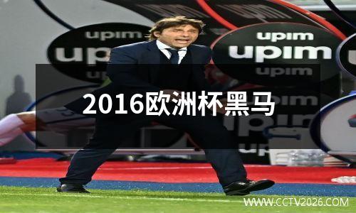 2016欧洲杯黑马