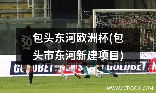 包头东河欧洲杯(包头市东河新建项目)