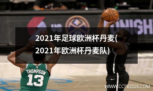 2021年足球欧洲杯丹麦(2021年欧洲杯丹麦队)