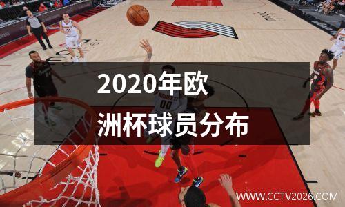 2020年欧洲杯球员分布