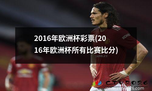 2016年欧洲杯彩票(2016年欧洲杯所有比赛比分)