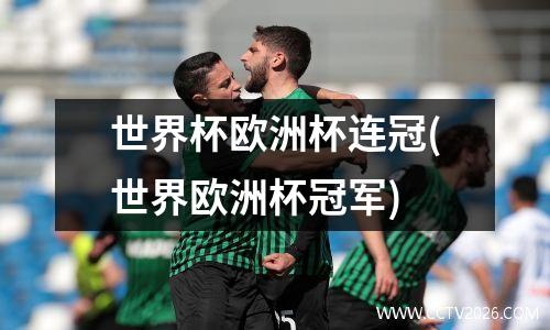 世界杯欧洲杯连冠(世界欧洲杯冠军)