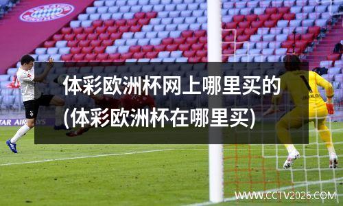 体彩欧洲杯网上哪里买的(体彩欧洲杯在哪里买)