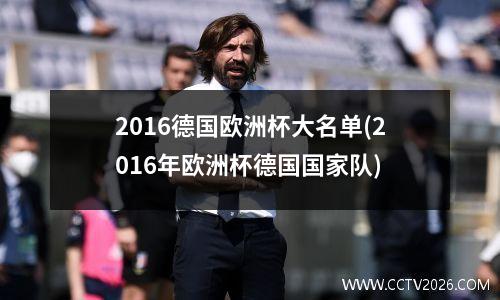 2016德国欧洲杯大名单(2016年欧洲杯德国国家队)