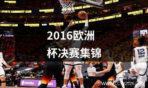 2016欧洲杯决赛集锦
