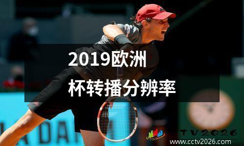 2019欧洲杯转播分辨率