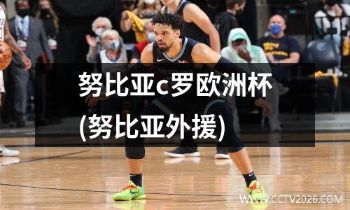 努比亚c罗欧洲杯(努比亚外援)