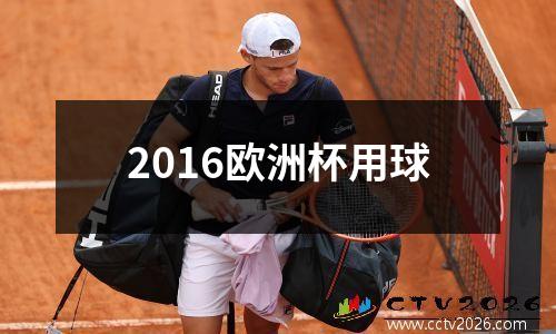 2016欧洲杯用球