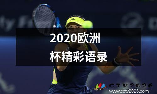 2020欧洲杯精彩语录